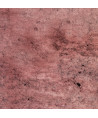 0,1m Canvas "Mr Greystone" by Cherry Picking