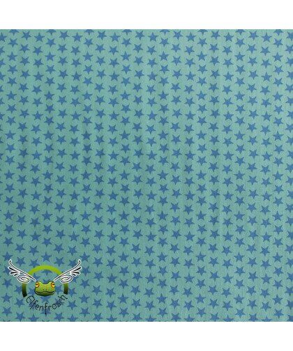 0,1m Jersey "Sterne" pastell mint