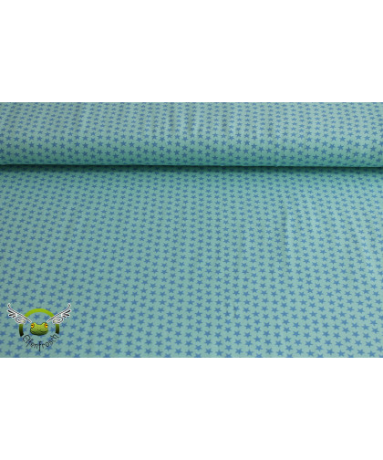 0,1m Jersey "Sterne" pastell mint