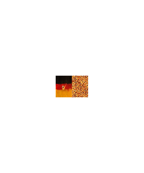 1 Panel Jersey "Goal" Fußball Flammen