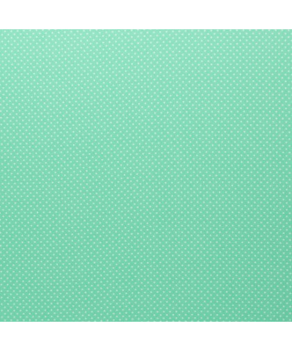 0,1m Baumwolle "Judith" 2mm Punkte Mintgrün 100261