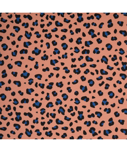 0,1m Canvas "Tango" Leo