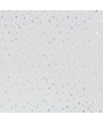 0,1m Tüll "Elsa" mit Sternen aus Hologrammfolie